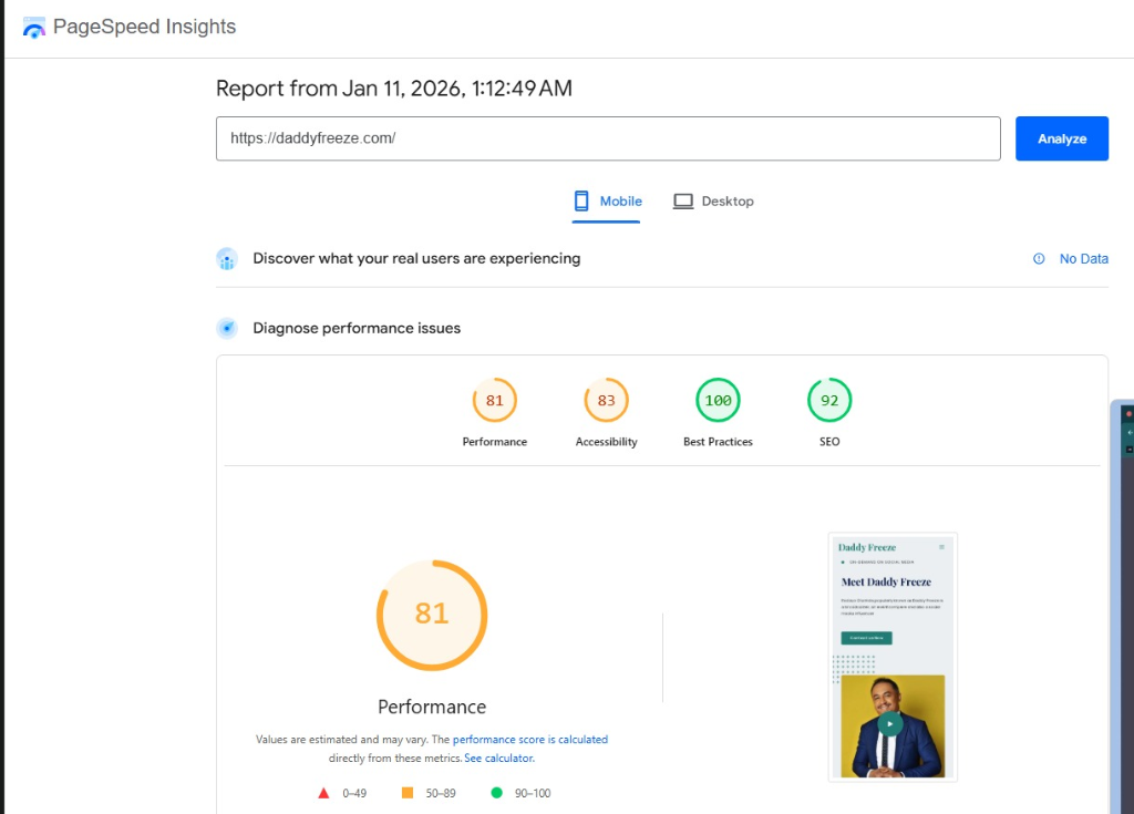 PageSpeed Insights Report